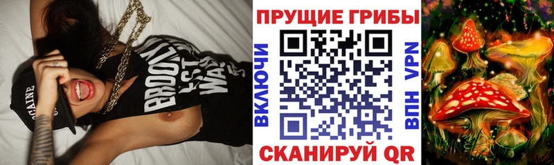 Галлюциногенные грибы GOLDEN TEACHER mega ONION Пучеж наркотики