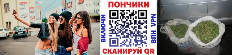 darknet Telegram  где продают наркотики  Пучеж  Бошки Шишки ГИДРОПОН  мега вход 